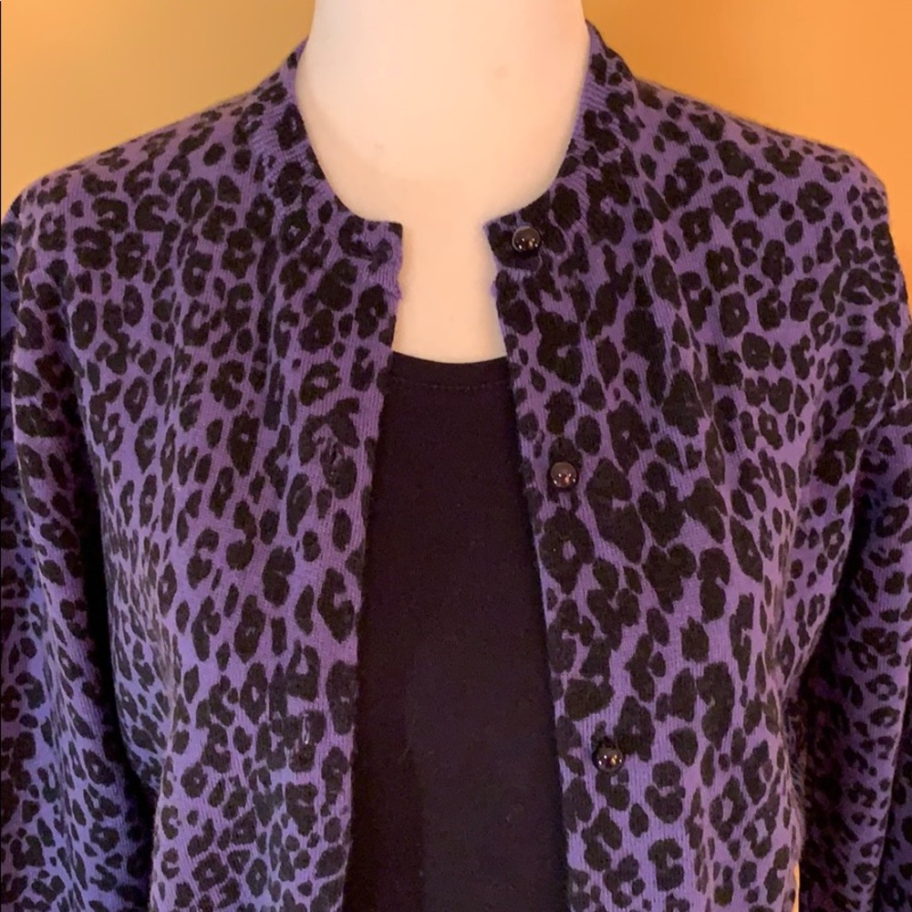 Merino Wool Cardigan Sweater